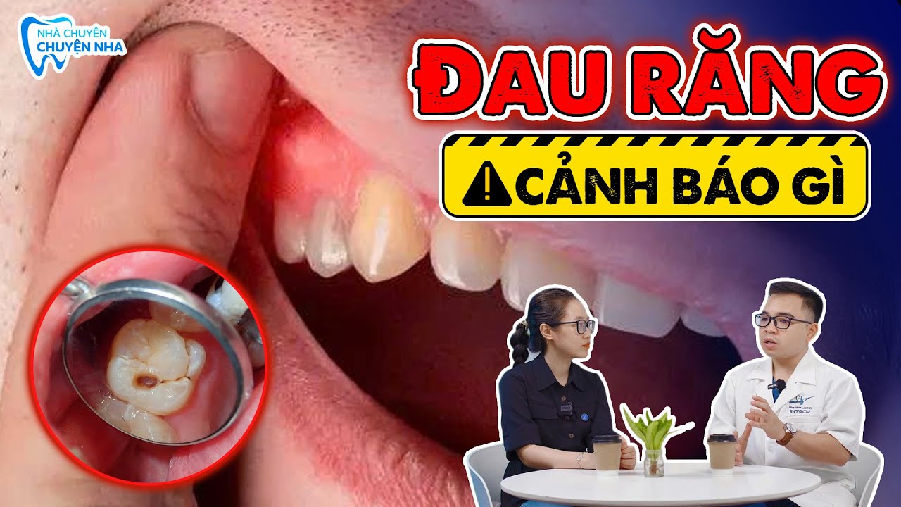 Đau Răng Là Dấu Hiệu Của Bệnh Gì? Cách Xác Định Để Tránh Biến Chứng Nguy Hiểm