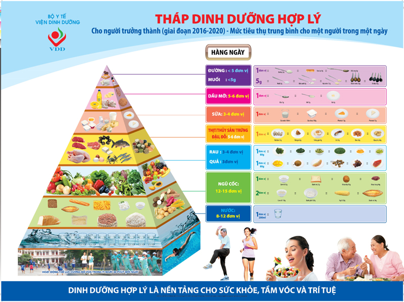 Tháp dinh dưỡng được khuyến nghị theo tiêu chuẩn của Viện Dinh Dưỡng thuộc Bộ Y Tế Việt Nam